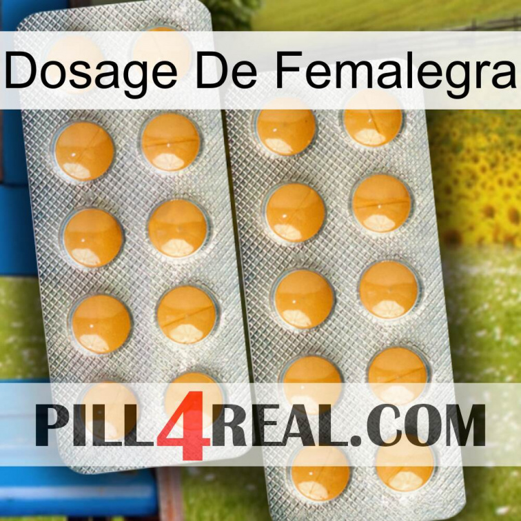 Femalegra Dosage levitra2